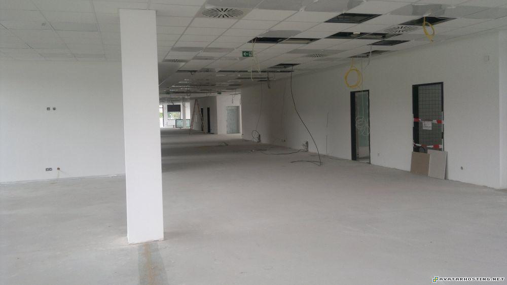 moths dog arthropods species bonju avatar 13.0835