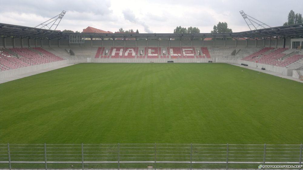 insects adaptations bonju avatar zelda avatar 13.0840