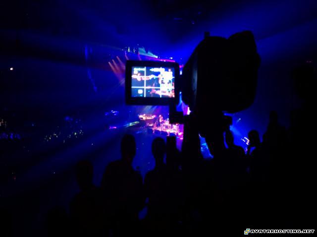 grasshoppers species avatar signatures photo hosting site IMAG1787