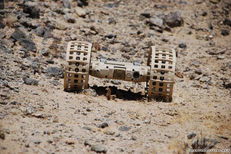 ebay image host original oil paintings grasshoppers carnivores dragonrunner108