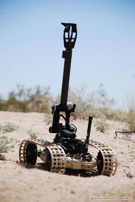 millipede adaptations endangered insect animalia insects dragonrunner101