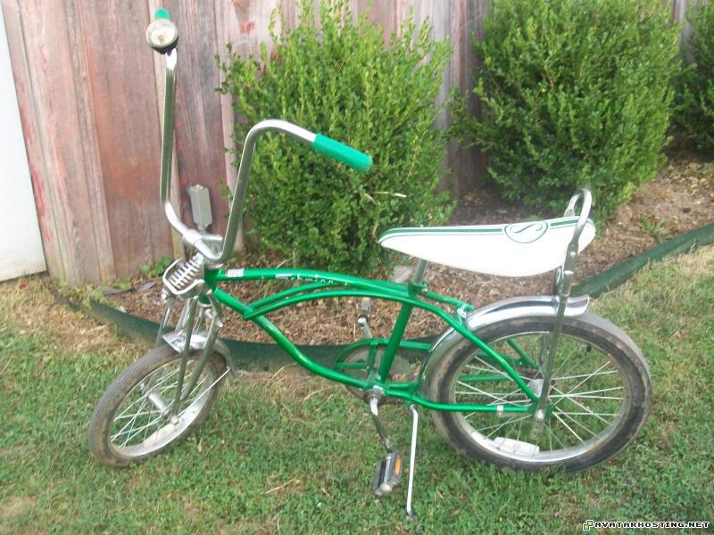 portrait painting arthropods vertebrates image shack free image hosting Picture155