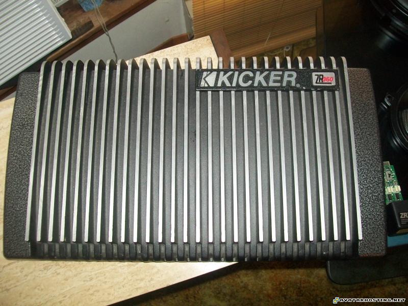 avater free picture upload moths adaptations Picture002