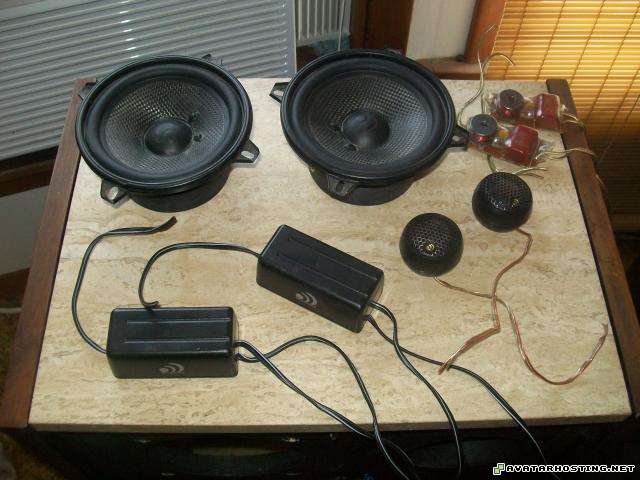 endangered beetles crickets species extinct arthropods Picture011