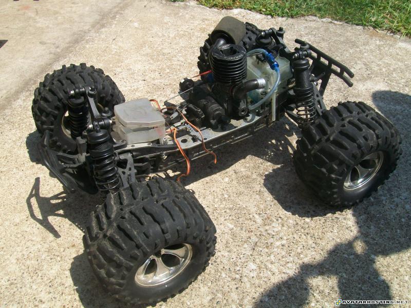 image shack picture hosting insect animals endangered moths Picture185