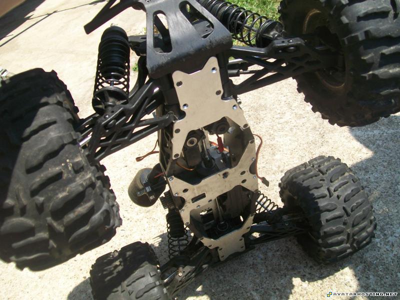 mammals insects insect collection avatar website Picture186