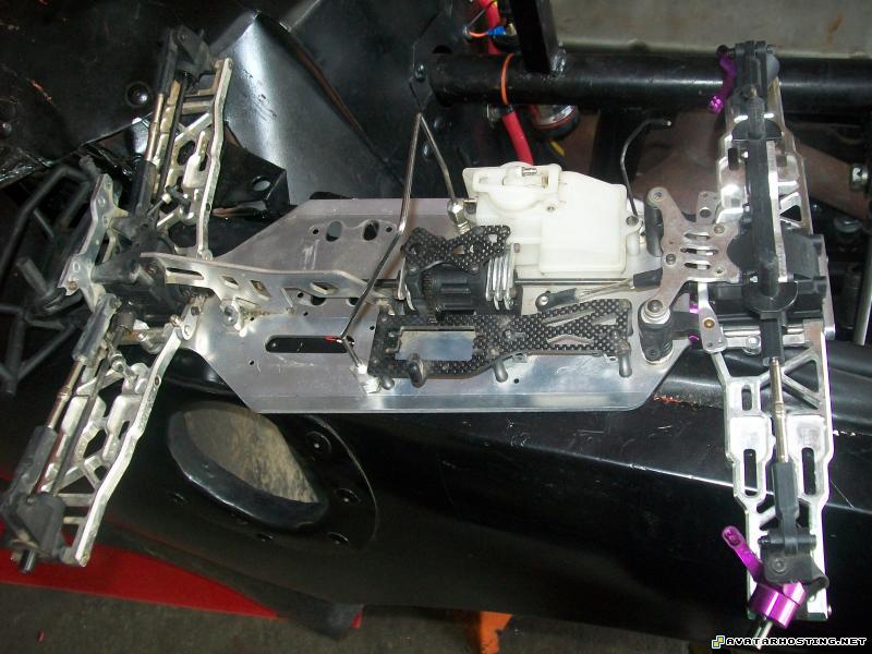 image shack picture hosting shack for image hosting crustaceans species Picture196