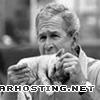 george w bush eat cat busheatskitten100