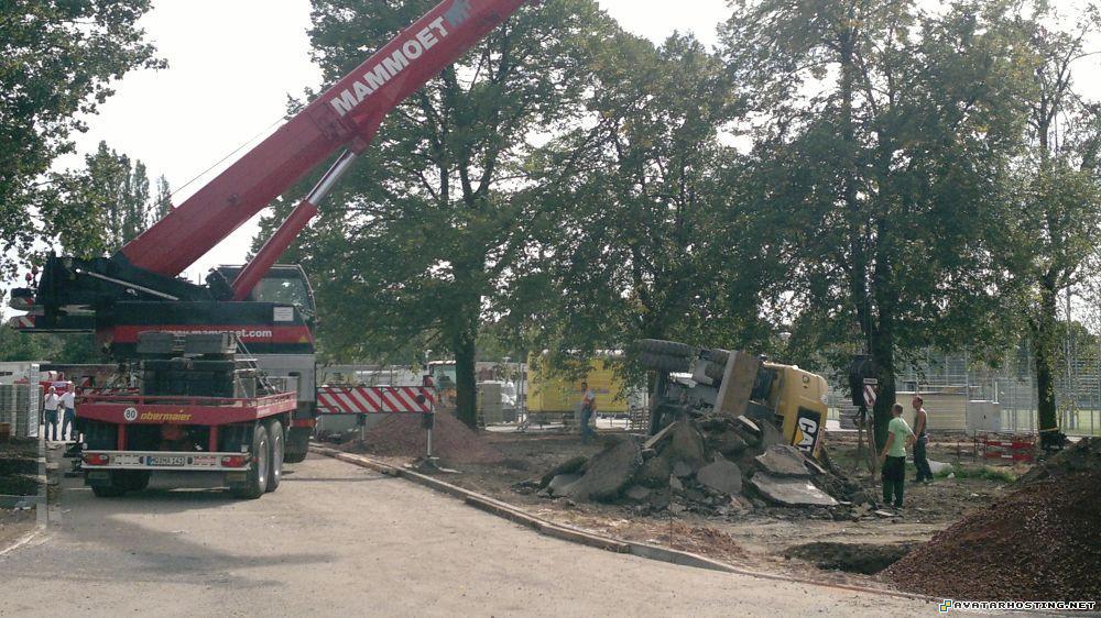 photo album picture ladybugs adaptations 100x100 avatars 06.095