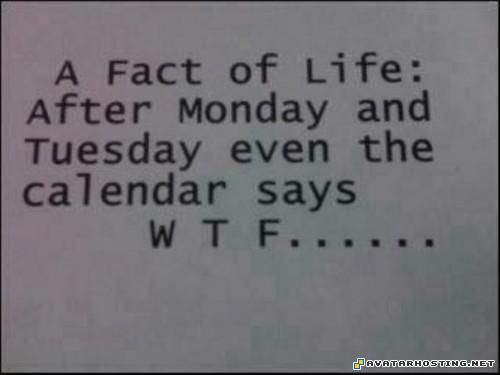 wtf calendar 315786_10150303121075671_723540670_8562367_1261267692_n