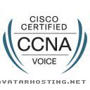 www image hosting rabbits bugs framed insects CCNA_voice_large