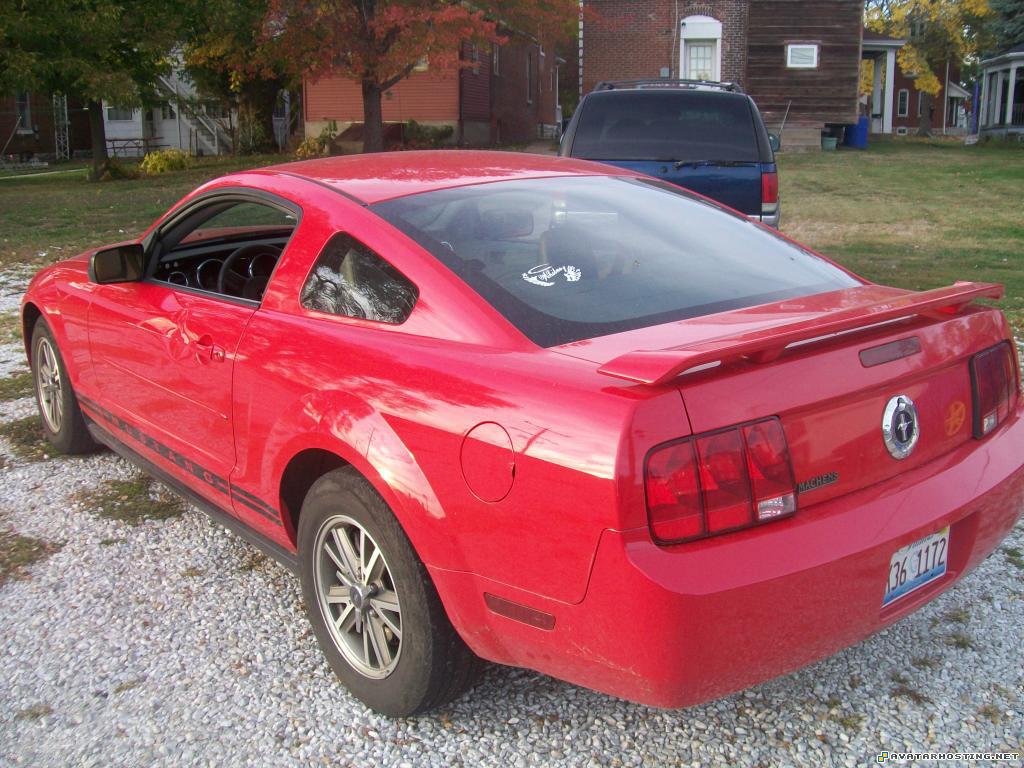 private photo hosting still life art icon bbbbbbbbbbbb009