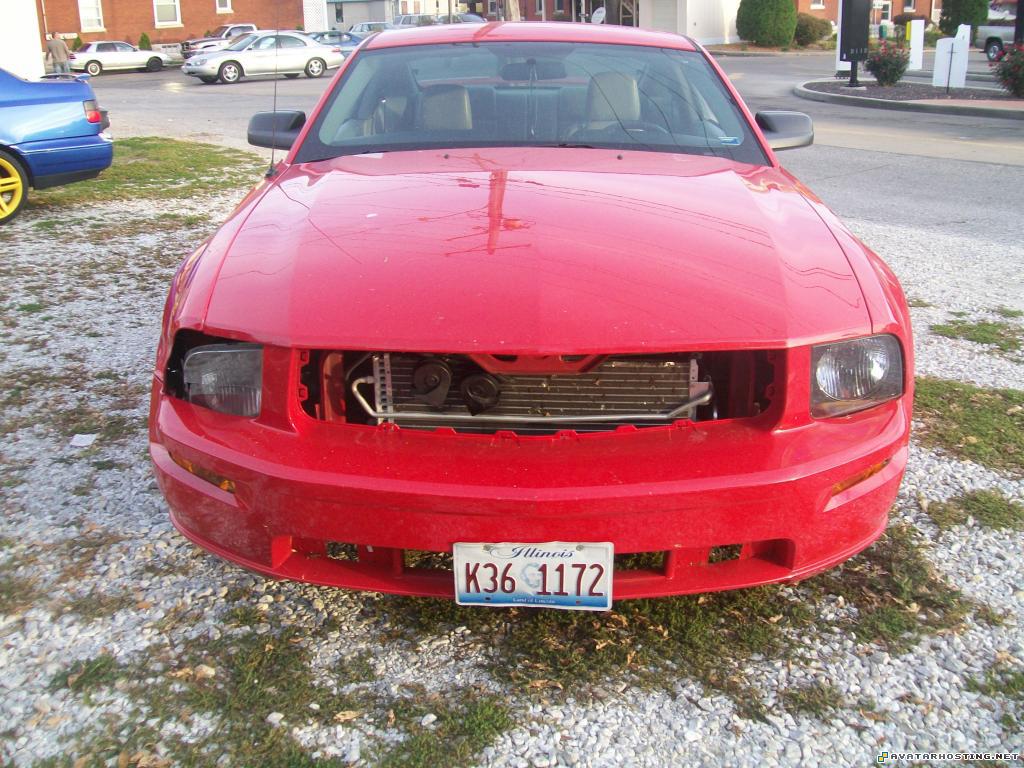 crustaceans invertebrates landscape shoes avatar bbbbbbbbbbbb011