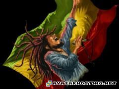 host picture avatar beetles habitats  preview3