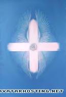 ebay image host painters pests mammals  wing_cross1