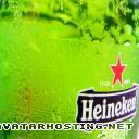 termites species funny avatar arthropods vertebrates  heinekenbeer1280x800