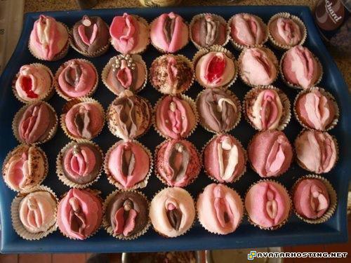 pussy caces pussy_caces