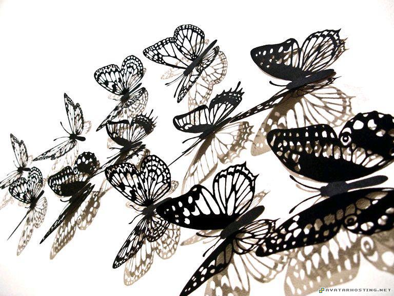 a flock of butterflies stado_peperudi