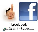 endangered arthropods 1 oil paintings  fb