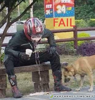 endangered bugs naruto millipede adaptations  fail