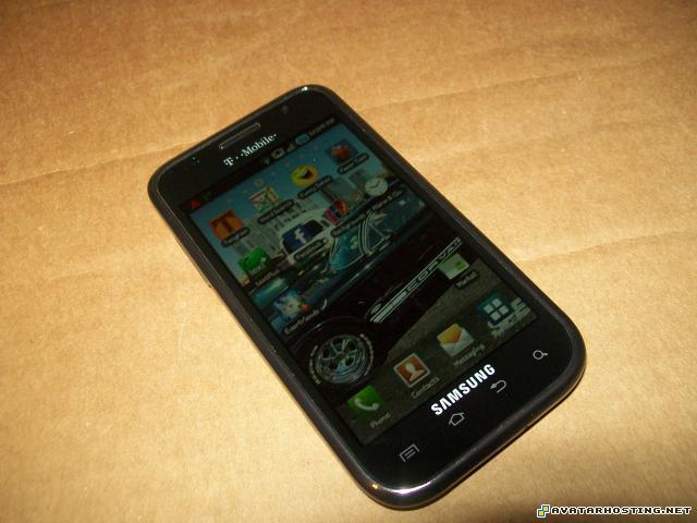 canvas paintings fine art gallery endangered mollusks  006