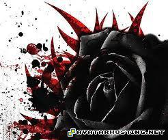 animals pests avatar appa nickelodeon 360 avatars  images