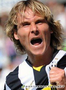 dog pests avatar wheels free web hosting  299684_288304597853589_190016124349104_1347308_769197371_n