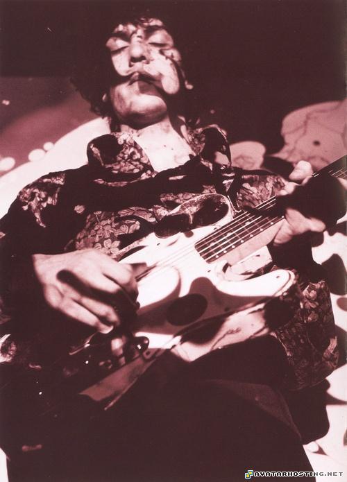 deciduous insects aphids species still life paintings  SydBarrettsyd