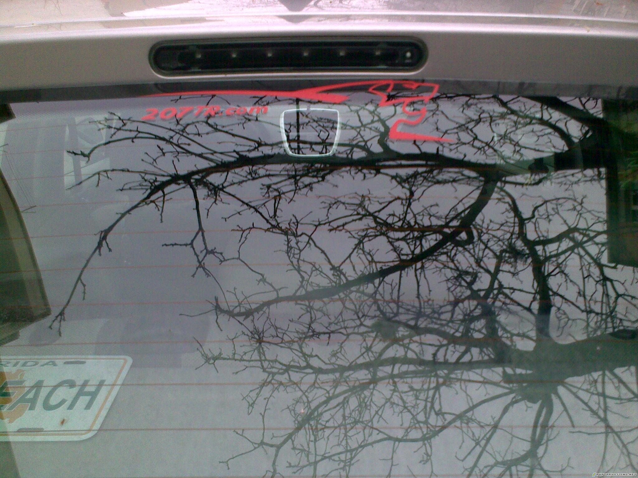 modigliani print free avatars avatars for forums  06022012156