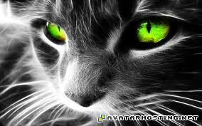 avatar buddy icons framed insects avatar book 4  Fait