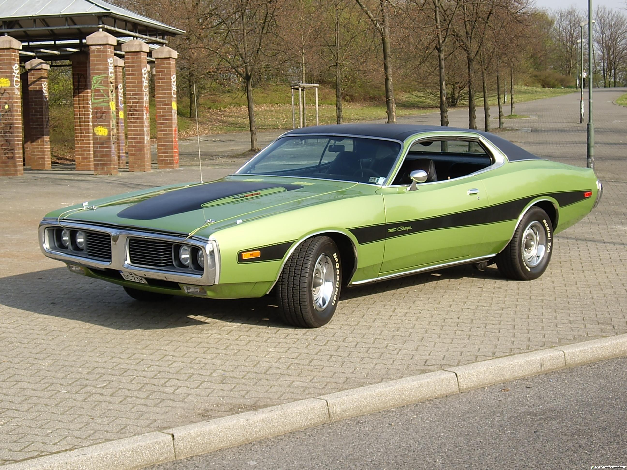 beetles species animals pests arthropods species  26.03.2010161952_0003