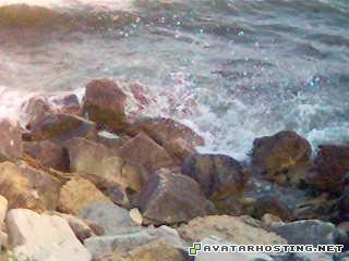 signature brown prints forums  2