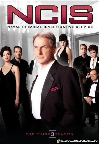 ebay photo hosting animals beetles photo hosting websites  ncis1