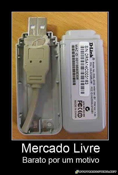 grasshoppers species grasshoppers carnivores insect cruelty  20120412075149671