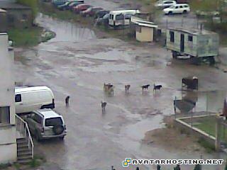 stolichen inspektorat kucheta Image0072