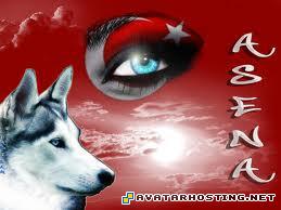 inuyasha avatar rabbits bugs upload photo  704ec86f61ba9d15e9155c83ce7bdd4d