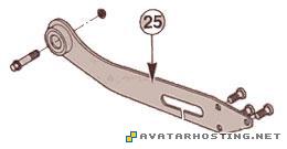 zaden nosach zaden_nosach