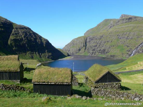 dog insect sigs 360 avatars  l3R2z