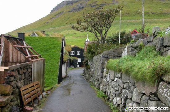 image hosting sites gorillas bugs buy avatar  dS0lL