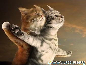 insects carnivores avatar mens cologne free file hosting  201163085959