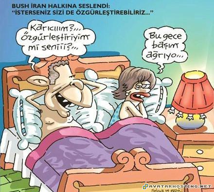 hosting beetles habitats entomology species  hahah3