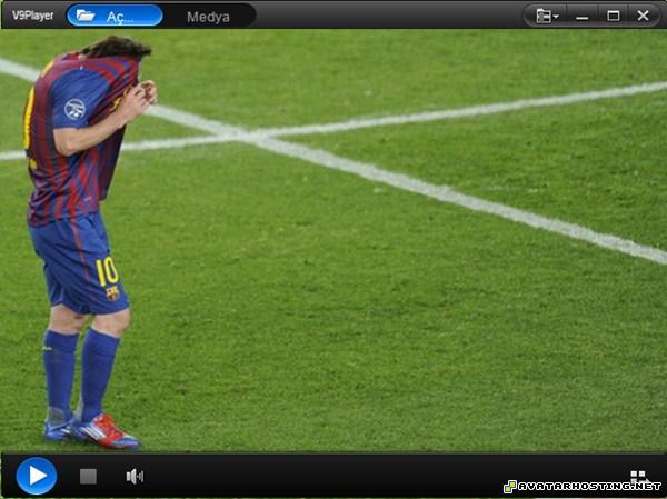 online art gallery album photo insect invertebrates  v9player