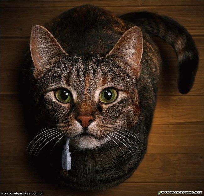 original paintings insect photo album 2007  20120313212245269