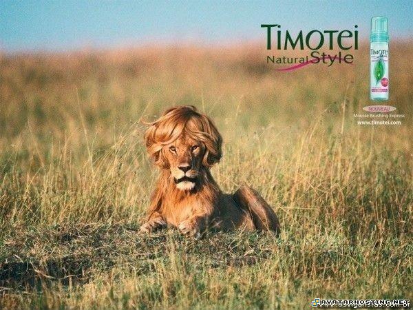 avatar messenger free avatar hosting gorillas bugs  20120313215652908