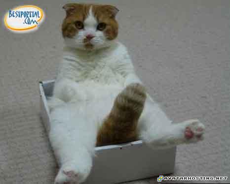 60x60 avatar good image host 50x50 avatar  20120312001843115