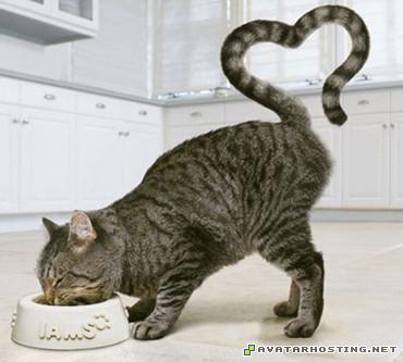 fine art galleries fabric photo album avatar gifs  456