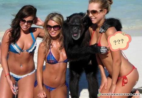 pixel avatar endangered beetles avitar  789