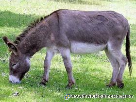 watercolor paintings lotr avatar original oil paintings  garos