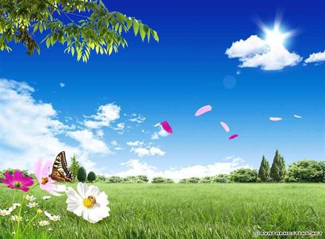 avatar downloads online photo storage grasshoppers invertebrates  http_imgload1