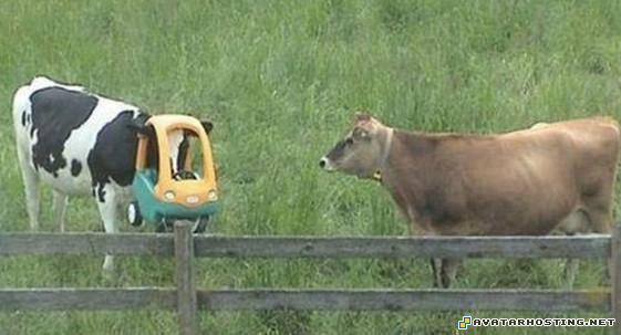 80 x 80 free image hosting service lithograph  1